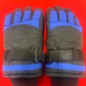 Black and Blue Winter Gloves